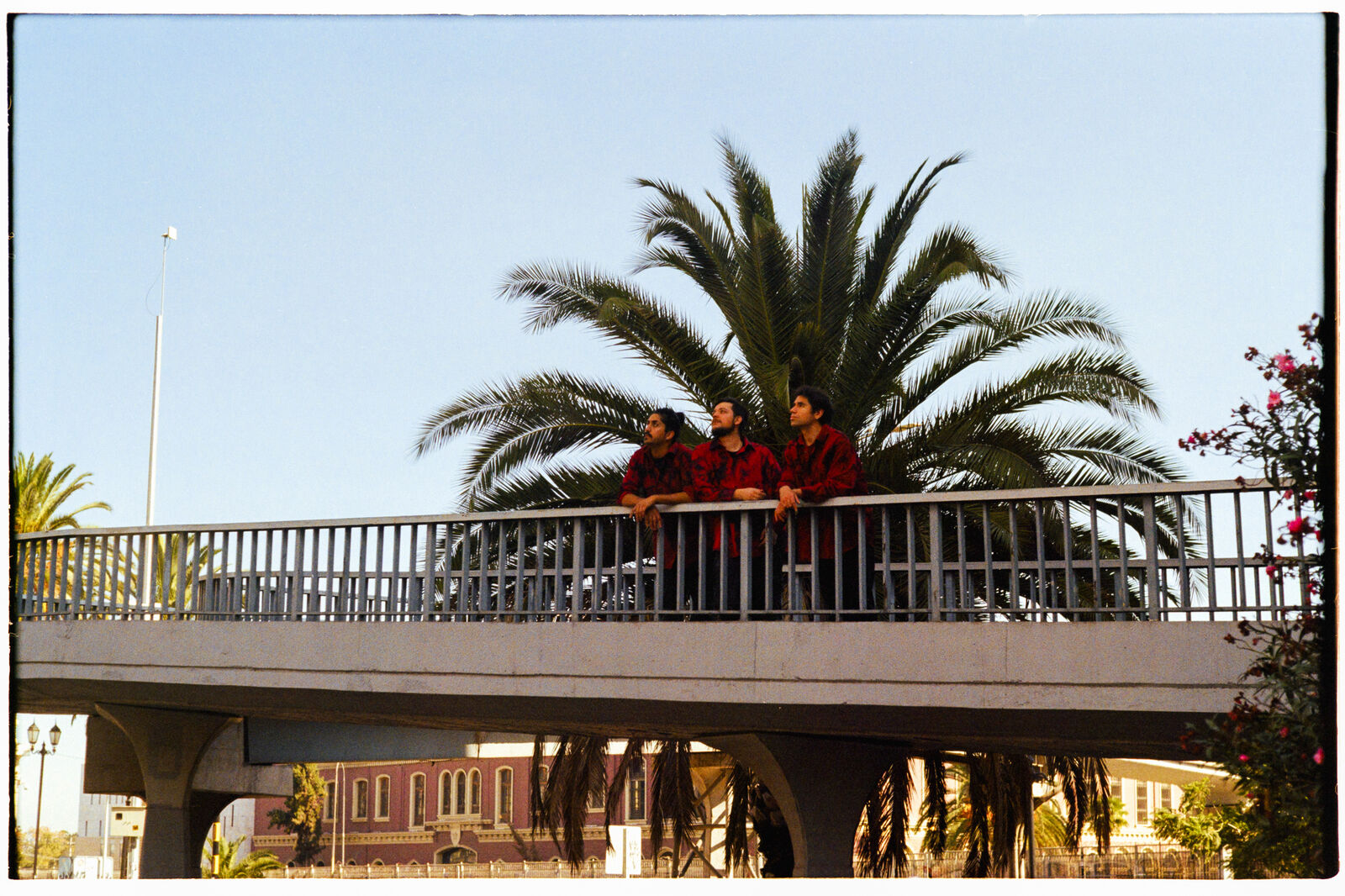 Detectives Salvajes — foto 3