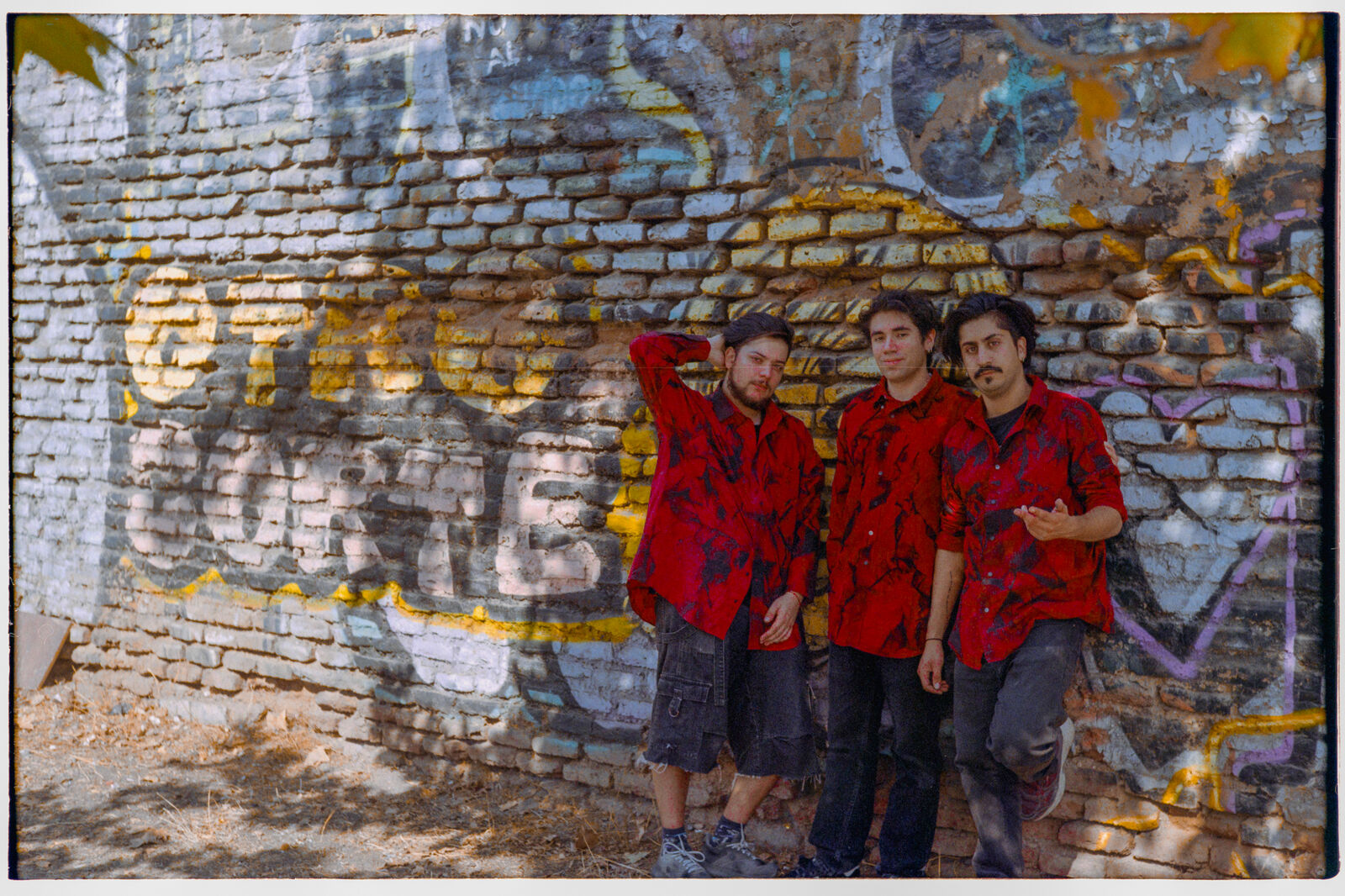 Detectives Salvajes — foto 4