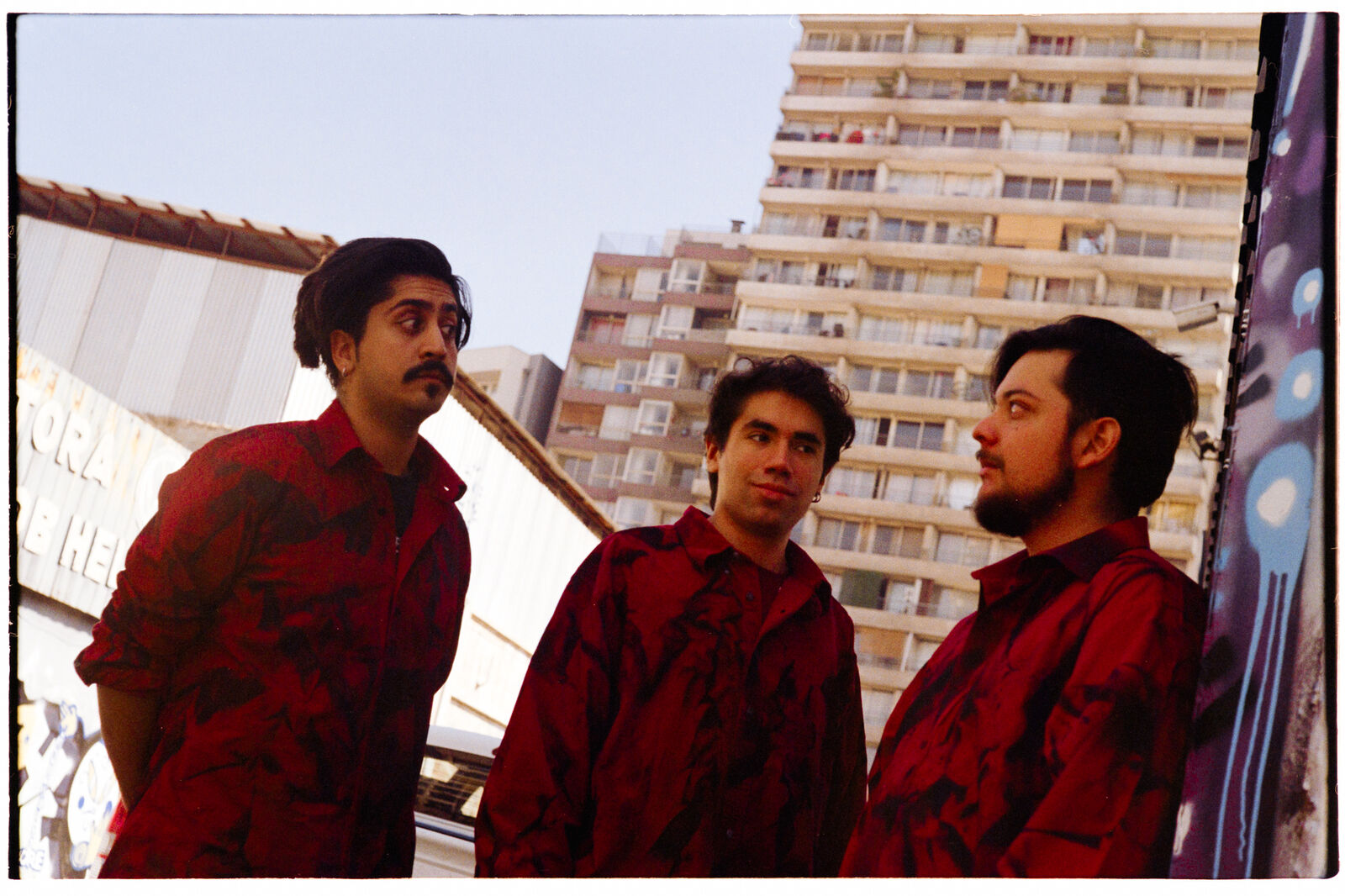 Detectives Salvajes — foto 12